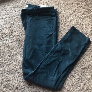LOFT Corduroy Pants Size 32 NWT